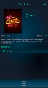 ZOOM TV
