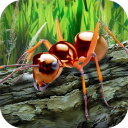 Herunterladen  Ameisen Survival Simulator - g