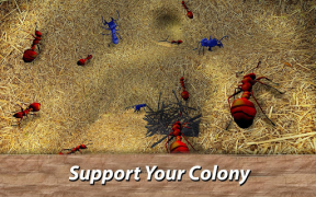 Herunterladen Ameisen Survival Simulator - g Simulatoren für Android Bildschirmfoto 2