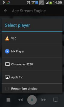 Herunterladen Ace Stream Media Video-Player und -Editoren für Android Bildschirmfoto 7