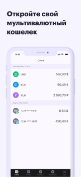 ePayments: wallet & bank card
