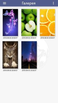 Herunterladen Глобус: заработок без вложений Soziales für Android Bildschirmfoto 6