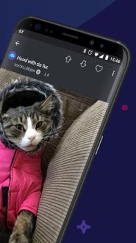 Herunterladen Imgur: Funny Memes & GIF Maker Foto für Android Bildschirmfoto 2