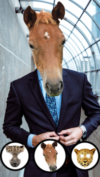 Herunterladen Tiergesichter Foto App Unterhaltung für Android Bildschirmfoto 2