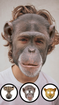 Herunterladen Tiergesichter Foto App Unterhaltung für Android Bildschirmfoto 4