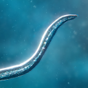Herunterladen  Bionix: Spore Evolution Sim 3D