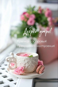 Herunterladen Доброе утро Добрый вечер Unterhaltung für Android Bildschirmfoto 2