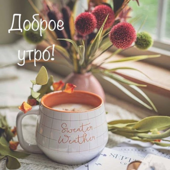 Herunterladen Доброе утро Добрый вечер Unterhaltung für Android Bildschirmfoto 3