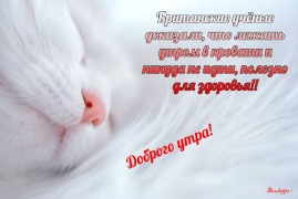Herunterladen Прикольные с добрым утром Unterhaltung für Android Bildschirmfoto 5