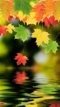 Herunterladen HD Wallpapers Personalisierung für Android Bildschirmfoto 2