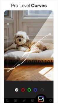 Herunterladen AI Photo Editor - Lumii Foto für Android Bildschirmfoto 6